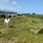 Le Ptit Chez Soi * Mers-les-Bains