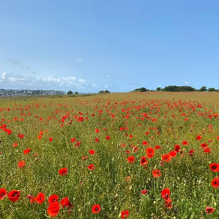 Le Ptit Chez Soi * Mers-les-Bains