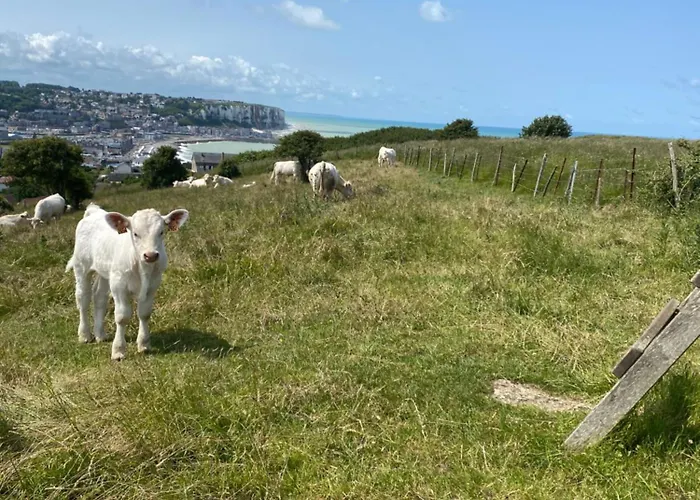 Le Ptit Chez Soi * Mers-les-Bains